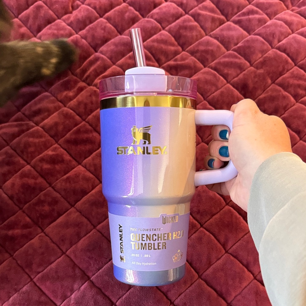 Wicked Stanley 20oz.